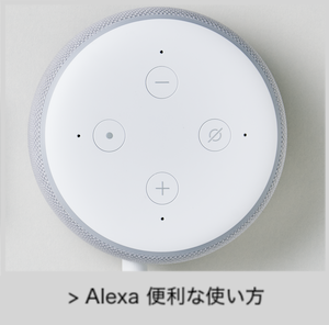 alexa.png